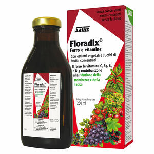 Floradix - Ferro 250ml