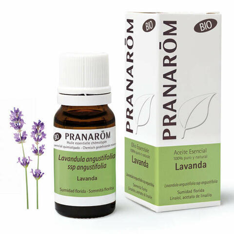 Lavanda angustifolia olio essenziale bio 10 ml