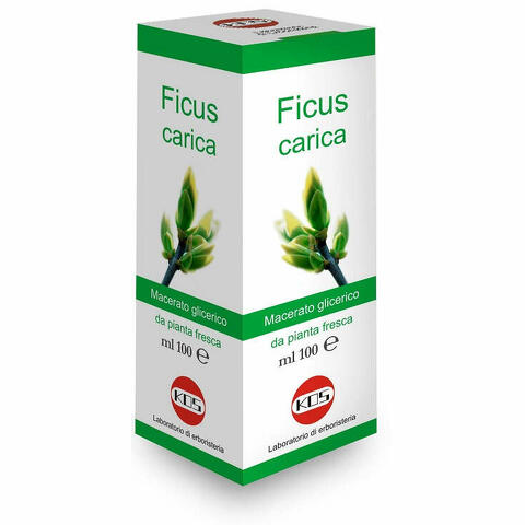 Ficus carica  100 ml