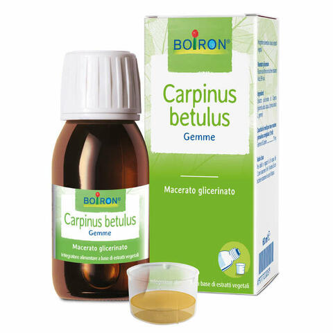 Carpinus betulus macerato glicerico 60 ml int