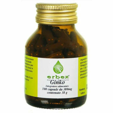 Ginkgo biloba 100 capsule 380 mg