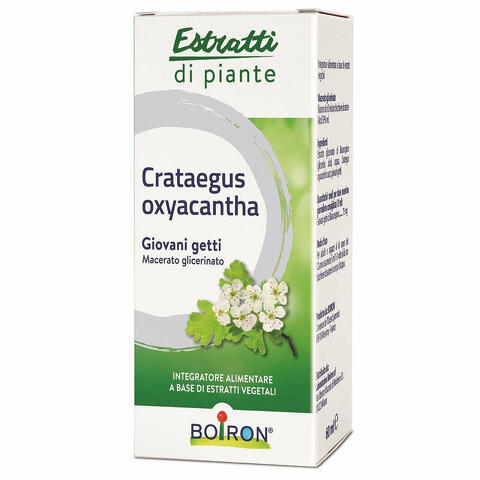 Crataegus oxy estratti di piante  macerato glicerico 60 ml