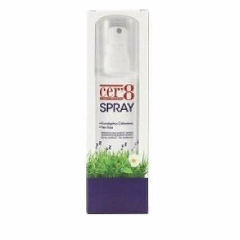 Family spray 100 ml