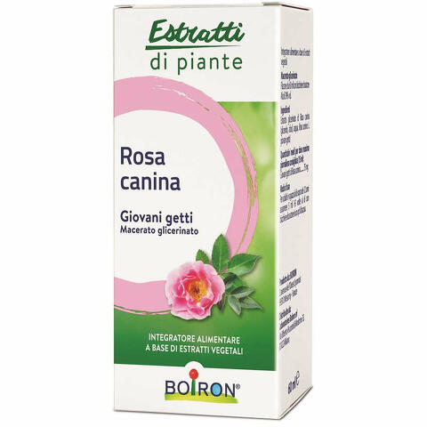 Rosa canina estratti di piante  macerato glicerico 60 ml