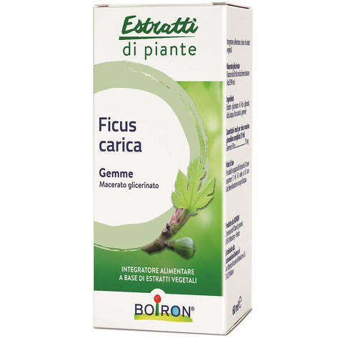 Ficus carica estratti di piante  mg 60 ml