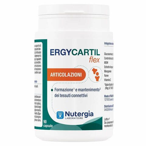 Ergycartil flex 90 capsule