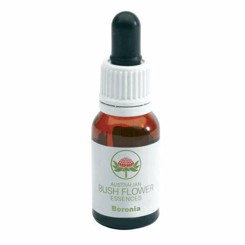 Boronia gocce 15 ml