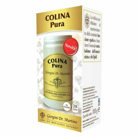 Colina pura polvere solubile 100 g