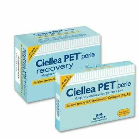 Ciellea pet 30 perle