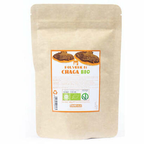 Chaga polvere bio 60 g