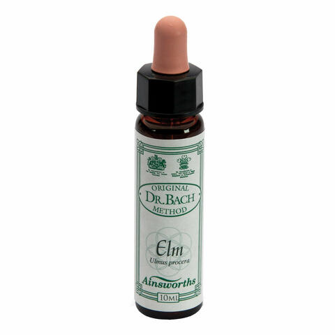 Ainsworths elm 10ml