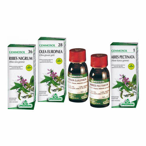 Gemmosol 3 ippocastano 50ml