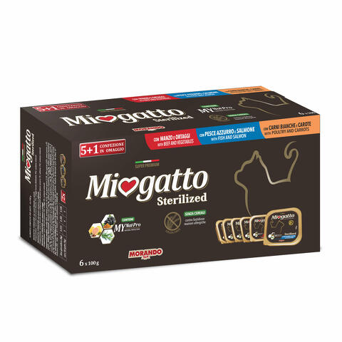 Multipack 5 x 100 g + 1 omaggio