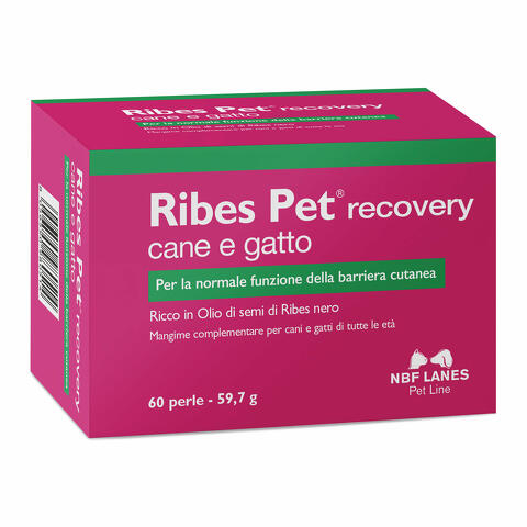 Ribes pet recovery 60 perle