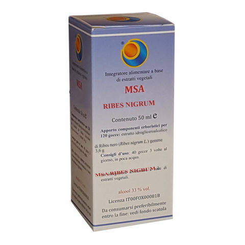 Msa ribes nigrum 50 ml