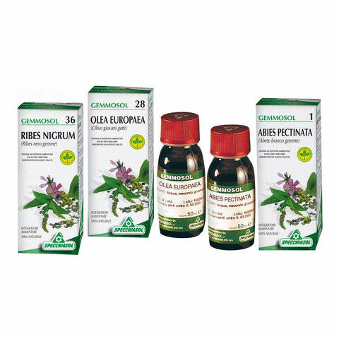 Gemmosol 36 ribes nero 50ml