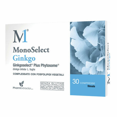 Ginkgo 30 compresse