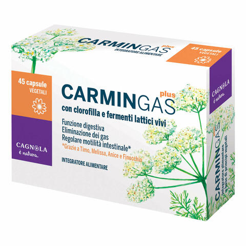 Carmin gas plus 40 capsule