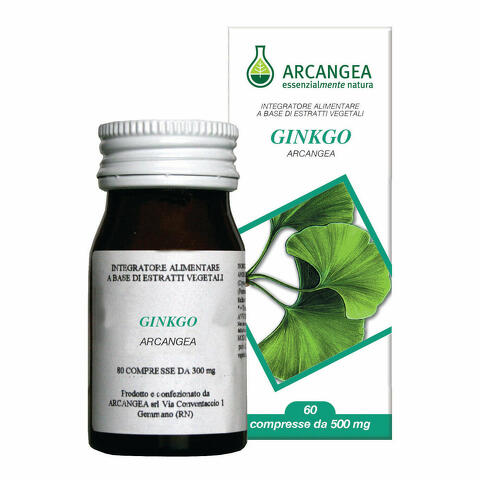 Ginkgo biloba 60 capsule 500mg