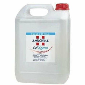 Amuchina - Gel x-germ - Disinfettante Mani 5 Litri