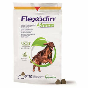 Flexadin - Advanced cane tutte le taglie 30 tavolette appetibili