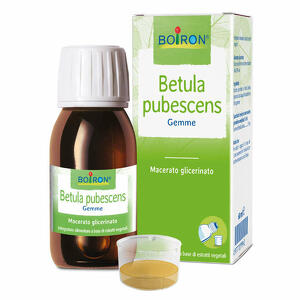 Boiron - Betula pubescens macerato glicerico 60 ml int