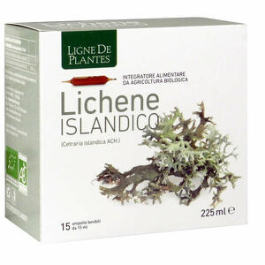 Ligne de plantes - Lichene islandico 15 ampolle x 15 ml