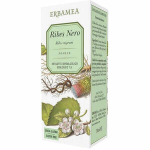 Ribes nero - 50 ml