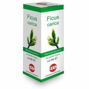 Macerato glicerico - Ficus carica  100 ml