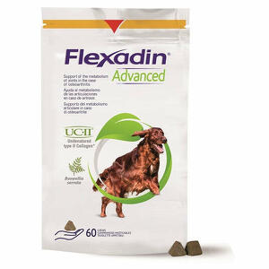 Flexadin - Advanced cane tutte le taglie 60 tavolette appetibili