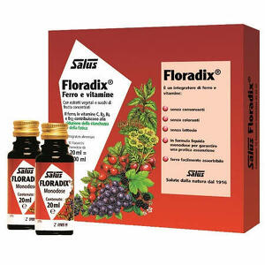 Floradix - Ferro 10 flaconcini 20 ml