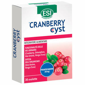 Cranberry cyst - Esi  30 ovalette