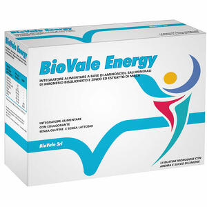 Biovale - Energy 14 bustine