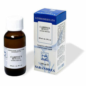 Betulus - Carpinus  100 ml macerato glicerico