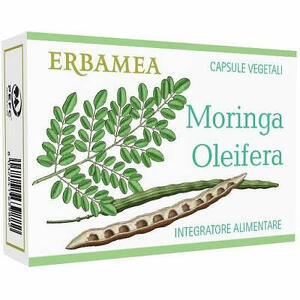 Moringa oleifera - 24 capsule