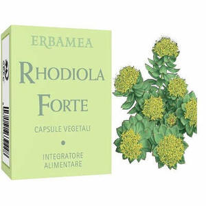 Rhodiola forte - 24 capsule