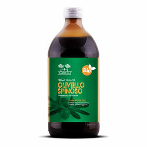 Salugea  succo di olivello spinoso bio - Salugea succo olivello bio 500 ml