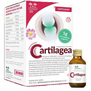 Salugea - Cartilagea  18 flaconcini da 12 ml