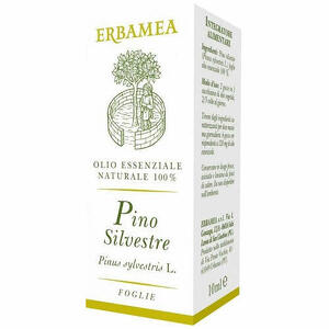 Pino silvestre - 10 ml