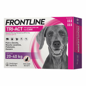 Frontline - 