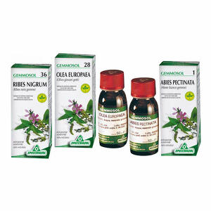 Specchiasol - Gemmosol 3 ippocastano 50ml