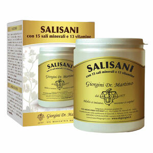 Giorgini - Salisani vitaminsport 360 g polvere