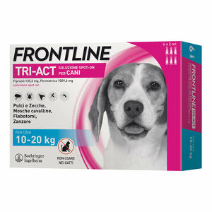 Frontline - 