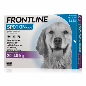 Frontline - 