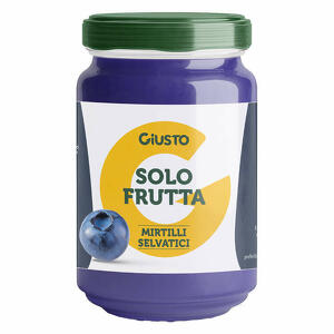 Giusto - Solo frutta confettura mirtilli selvatici 220 g