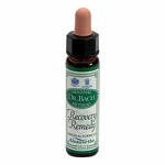 Santiveri Ainsworths recov remedy 10ml